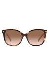 Prada 53mm Gradient Square Sunglasses In Brown Tortus