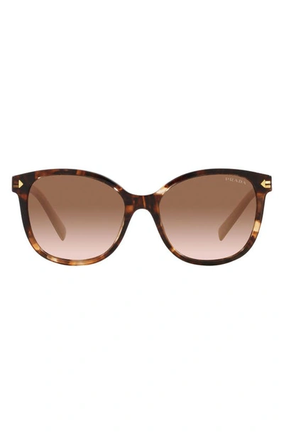Prada 53mm Gradient Square Sunglasses In Brown Tortus