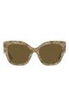 Tory Burch Contrasting Acetate Butterfly Sunglasses In Brown/green