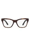 Dolce & Gabbana 53mm Square Optical Glasses In Havana