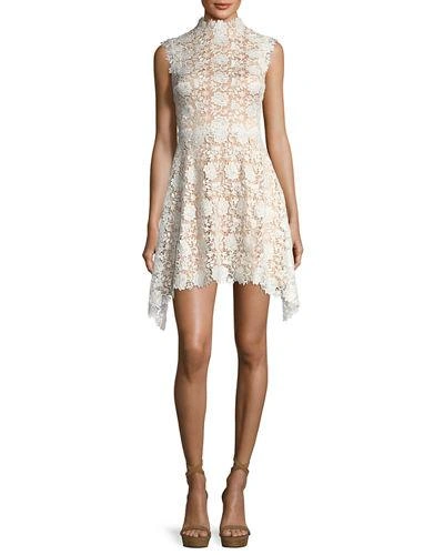 Catherine Deane Izzy Sleeveless Floral Lace Fit-and-flare Dress In ...