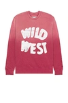 ONE OF THESE DAYS WILD WEST SWEATER
