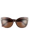 Tom Ford Alistair 56mm Gradient Sunglasses In Red Havana / Brown Polarized