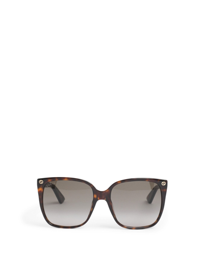 Gucci Women's Gg0022s Thin Square Acetate Sunglasses Brown