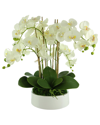 CREATIVE DISPLAYS CREATIVE DISPLAYS ORCHID ARRANGEMENT IN A ROUND PLANTER WITH LEAVES AND MOSS