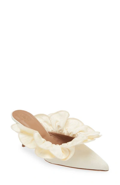 Brother Vellies Stell Ruffle Pointed Toe Mule In Ivory