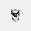 Baobab Collection Candlelight And Scents Multicolor Uni In Multicolor