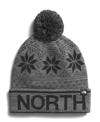THE NORTH FACE BOYS AND GIRLS SKI TUKE HAT