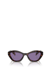 Prada Womens Brown Pr A02s Butterfly-frame Acetate Sunglasses In Havana
