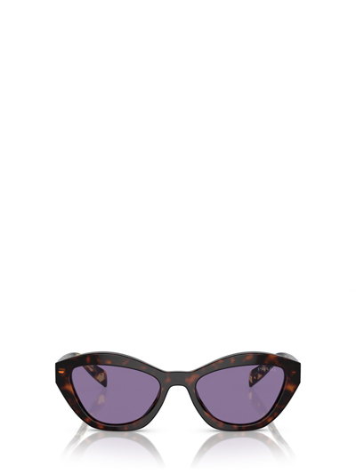 Prada Womens Brown Pr A02s Butterfly-frame Acetate Sunglasses In Black