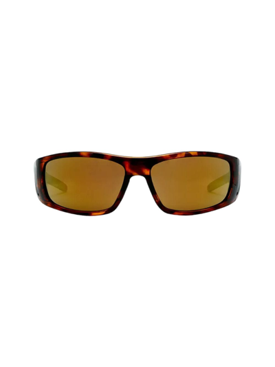 Lgr Amos Base 8 - Brown Gold Sunglasses