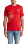 Roberto Cavalli Graphic T-shirt In Red