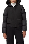 Canada Goose Chilliwack Down Bomber Jacket In Black - Noir