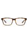 Ray Ban 55mm Square Optical Glasses In Dark Havana