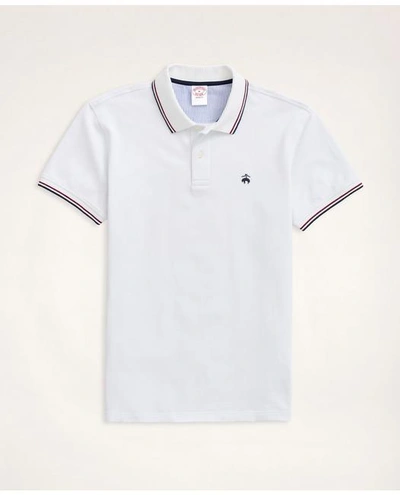 Brooks Brothers Golden Fleece Supima Tipped Polo Shirt In White