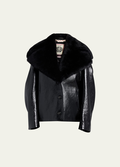 Marni Leather Short Jacket With Shearling Shawl Collar In Black