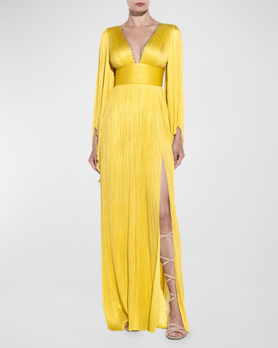Maria Lucia Hohan Harlow Crystal Embellished Plunging Long-sleeve Plisse Gown In Yellow