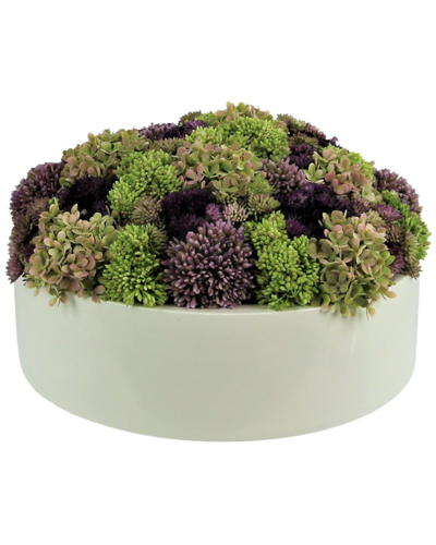 Creative Displays Multicolor Sedum Floral Display In Green