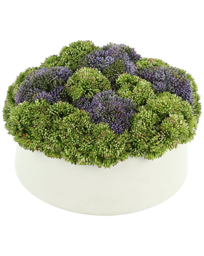 Creative Displays Purple & Green Sedum Floral Arrangement