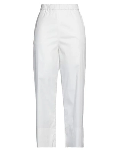 Antonelli Woman Pants White Size 4 Cotton, Polyamide, Elastane