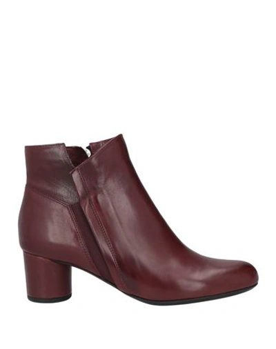 Pas De Rouge Woman Ankle Boots Burgundy Size 11 Calfskin In Red