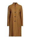 Weber+weber Sartoria Woman Coat Mustard Size 00 Virgin Wool In Yellow
