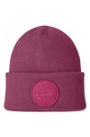 Canada Goose Pink Arctic Toque Beanie In Magenta Rose