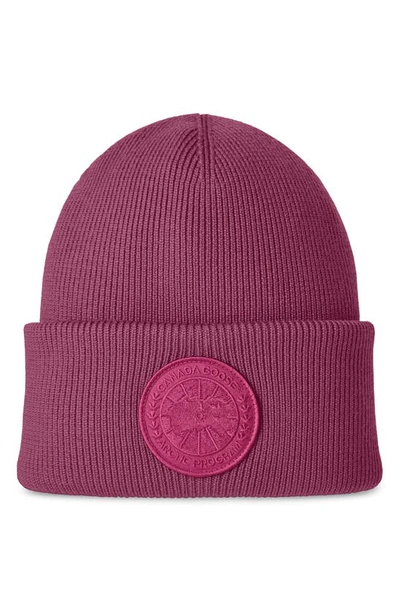 Canada Goose Pink Arctic Toque Beanie In City Magenta