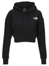 THE NORTH FACE TREND CROPPED HOODIE