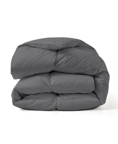 Unikome Cotton All Season Down Comforter In Black