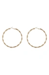 Tasha Twist Hoop Earrings In Gold