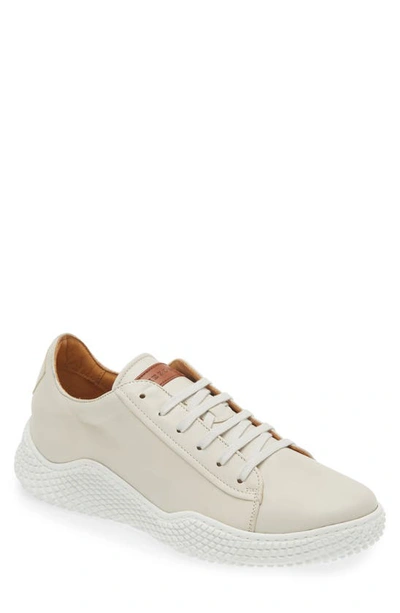 Mezlan Scallop Trainer In White