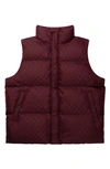 DAILY PAPER PONDO WATER RESISTANT NYLON PUFFER VEST
