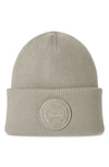 Canada Goose Arctic Toque Wool Knit Beanie In Limestone