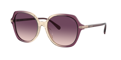 Coach Woman Sunglasses Hc8377u Cl925 In Purple Gradient