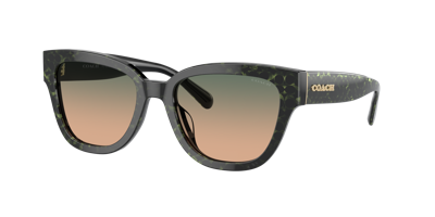 Coach Woman Sunglasses Hc8379u Cl920 In Green