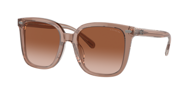 Coach Woman Sunglasses Hc8381u Cl918 In Brown Gradient