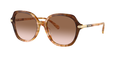 Coach Woman Sunglasses Hc8377u Cl925 In Brown Pink Gradient