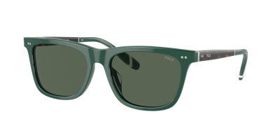 Polo Ralph Lauren Man Sunglasses Ph4205u In Green