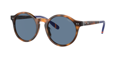 Polo Ralph Lauren Man Sunglasses Ph4204u In Blue