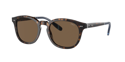Polo Ralph Lauren Man Sunglasses Ph4206 In Brown