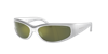 Arnette Man Sunglasses An4302 Catfish In Dark Green Mirror Petrol