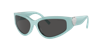 Tiffany & Co . Woman Sunglasses Tf4217 In Dark Grey