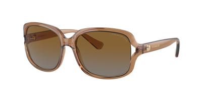 Coach Woman Sunglasses Hc8169 L149 In Brown Grey Gradient Polar