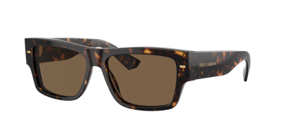 Dolce & Gabbana Dolce&gabbana Man Sunglass Dg4451 In Dark Brown