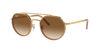 Ray Ban Ray In Light Brown