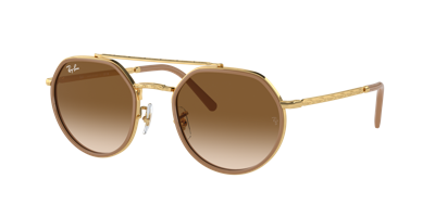 Ray Ban Ray In Light Brown