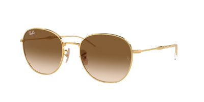 Ray Ban Ray In Light Brown