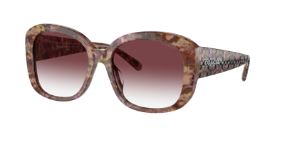 Coach Woman Sunglasses Hc8363u Ch564 In Purple Clear Gradient