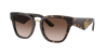Dolce & Gabbana Dolce&gabbana Woman Sunglasses Dg4437 In Gradient Brown